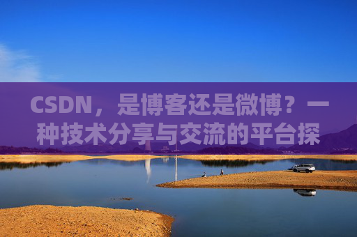 CSDN，是博客还是微博？一种技术分享与交流的平台探讨