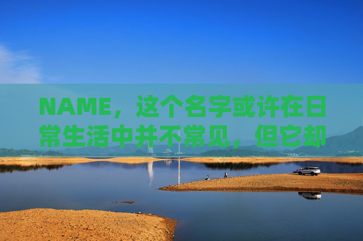 NAME，这个名字或许在日常生活中并不常见，但它却在某些领域里扮演着重要的角色。今天，让我们一起来探索这个名字背后的故事和意义